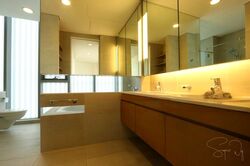 Tan Chin Tuan Mansion (D9), Apartment #460196131